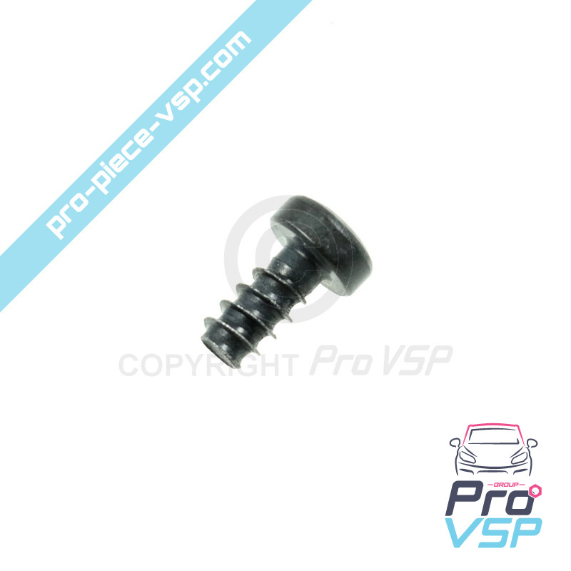 Torx screw