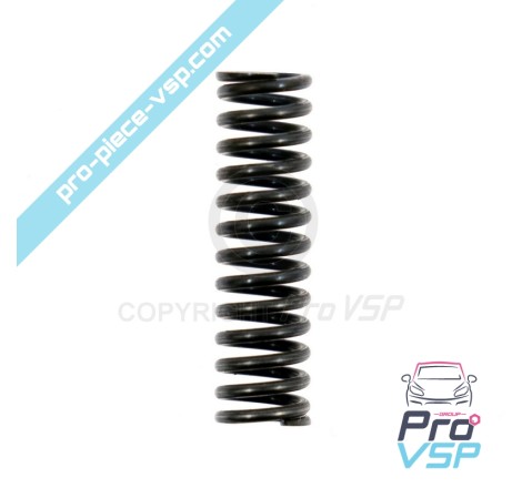 copy of Oil pump spring