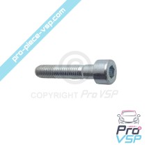 copy of Water pump flange screw