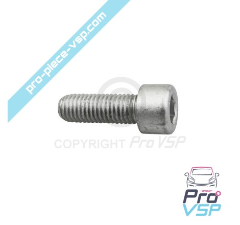 copy of Injector fixation screw