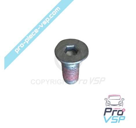 copy of Water pump support screw