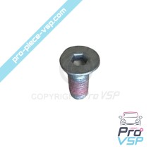 copy of Water pump support screw