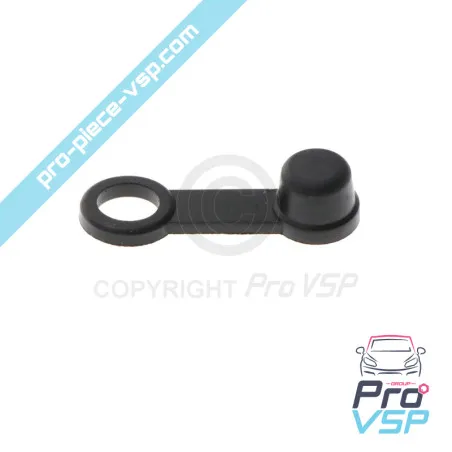 Brake caliper bleed cap