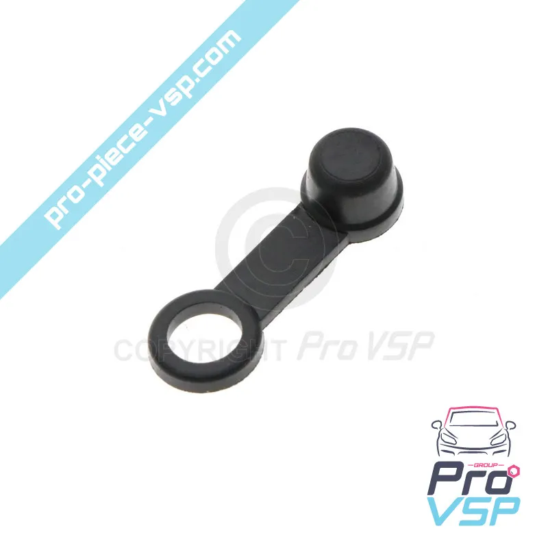 Brake caliper bleed cap