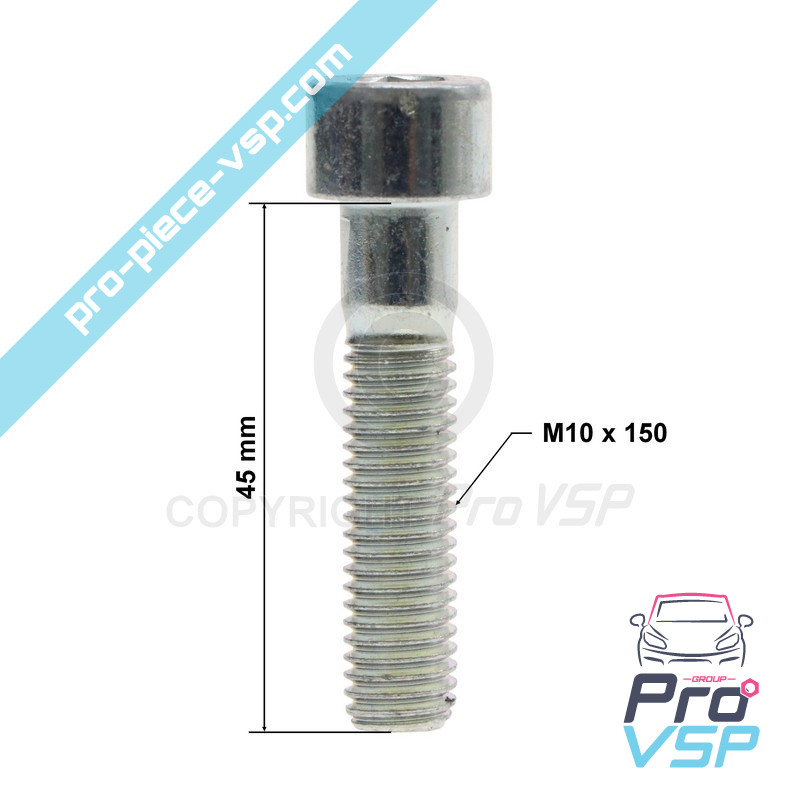 Engine support screw