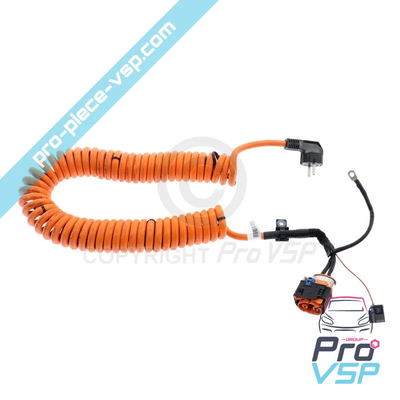 Cordon de charge origine pour Renault Twizy