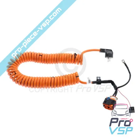 Cordon de charge origine pour Renault Twizy
