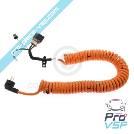 Cordon de charge origine pour Renault Twizy