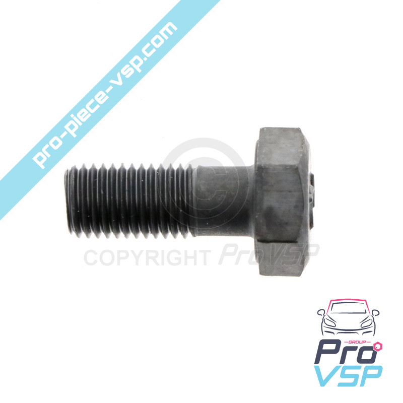 Motor steering wheel screw