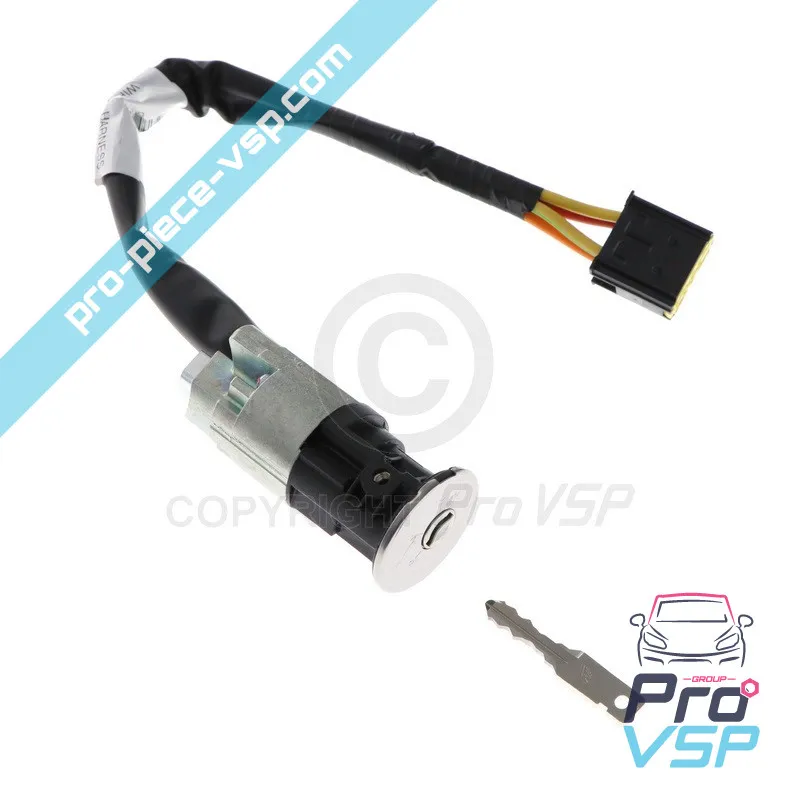 Neiman con origine dell'inserto per Renault Twizy