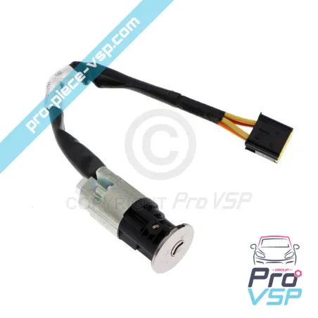 Neiman origine pour Renault Twizy