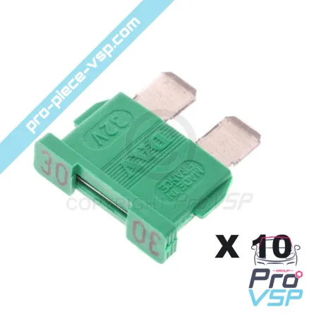 Lot de 10 fusibles vert 30A