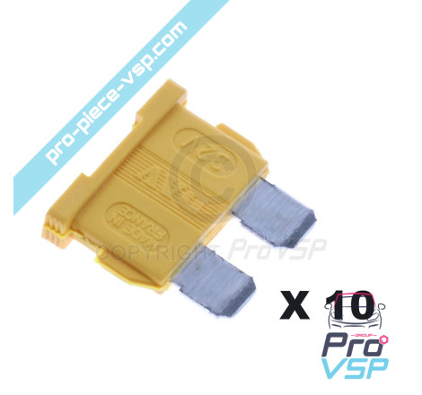 Set of 10 fuses