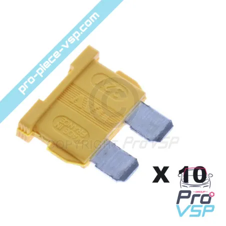 Lot de 10 fusibles jaune 20A