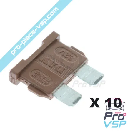 Lot de 10 fusibles marron 7,5A