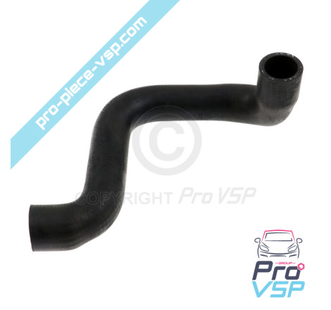 Radiator superior hose