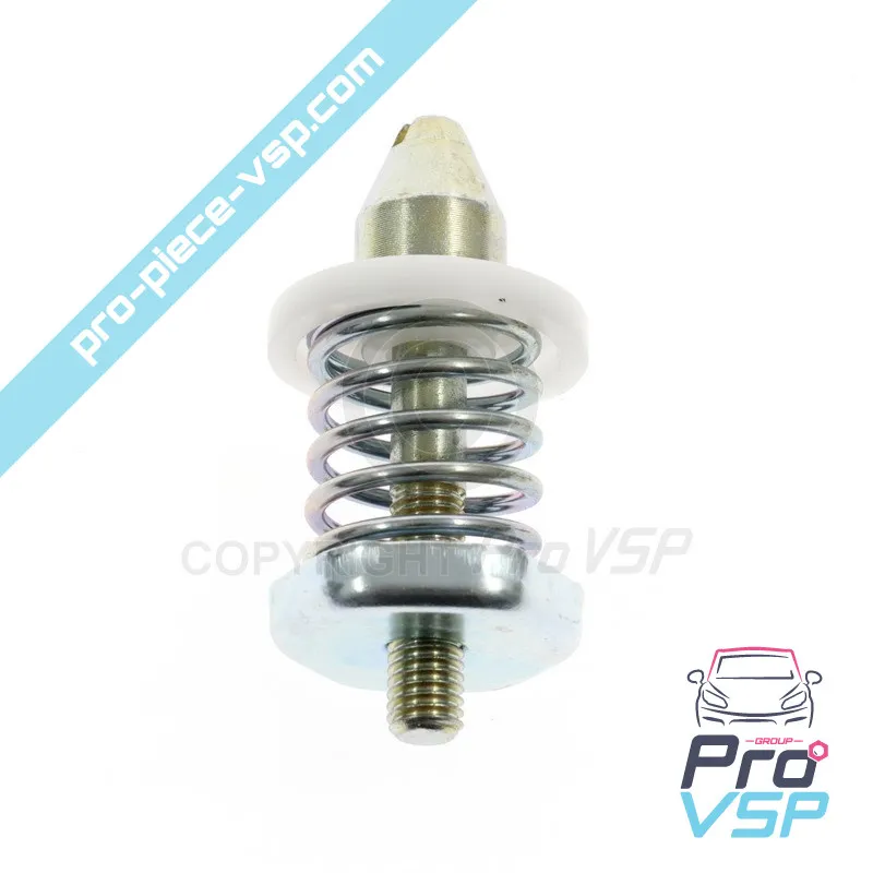 Hota atacator pentru Casalini