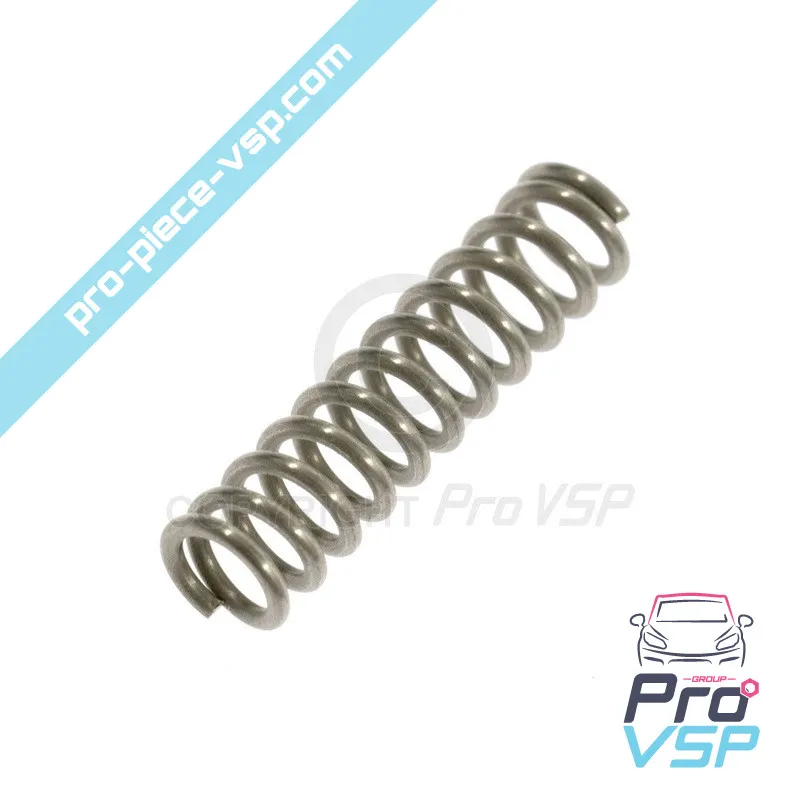 Accelerator Pedal Spring