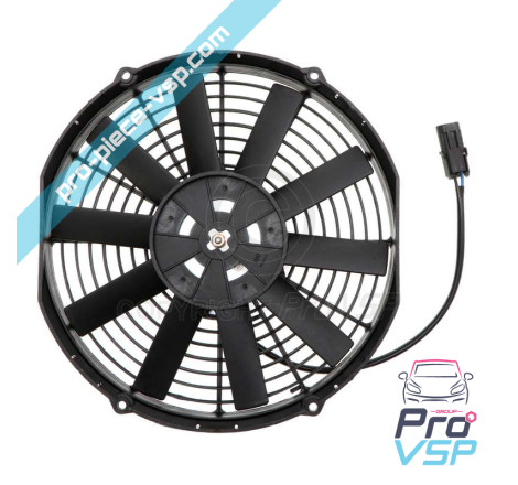 Fan