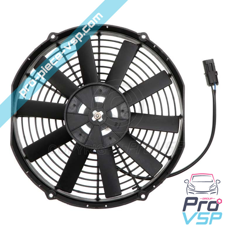 Fan