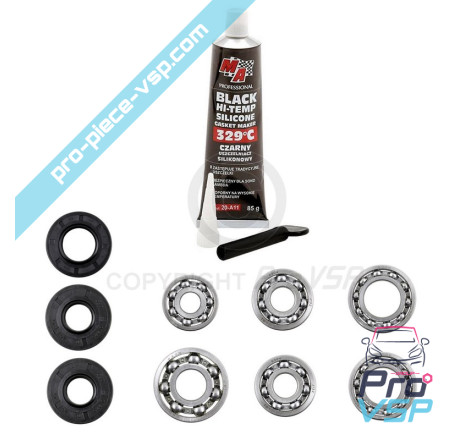 Kit di riparazione della scatola Stilfreni