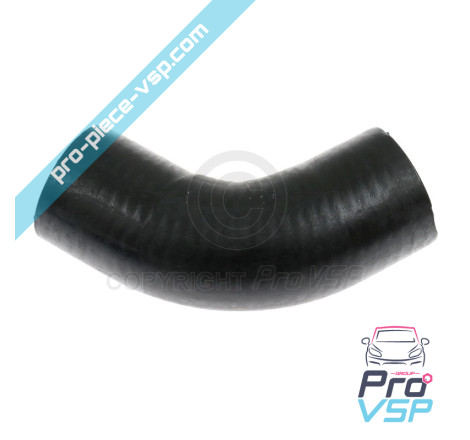 Lower water pump hose