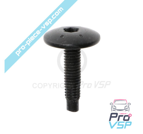 Body screw