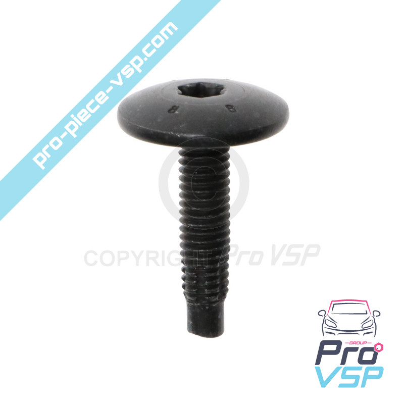 Body screw