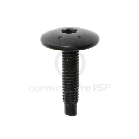 Body screw