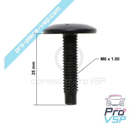 Body screw
