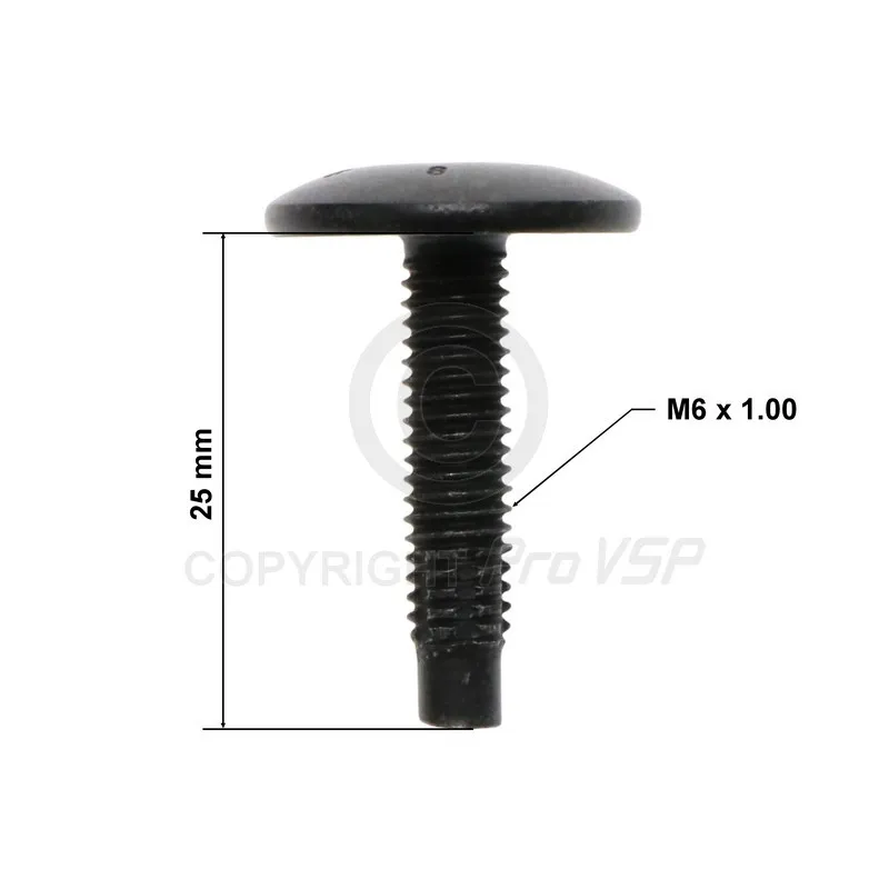 Body screw