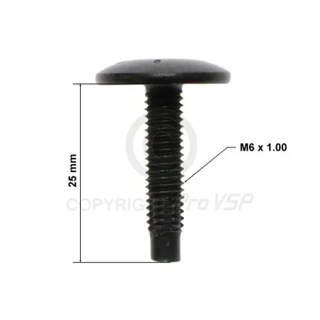 Body screw