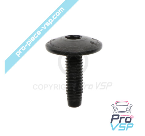Body screw