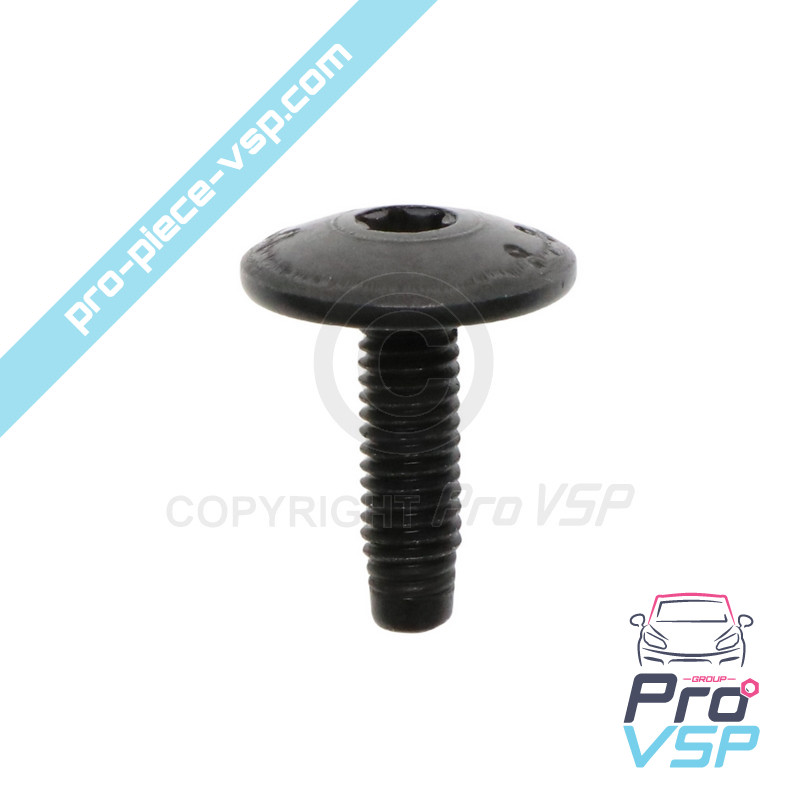 Body screw