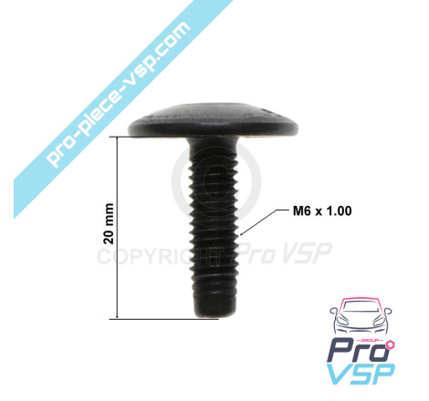 Body screw