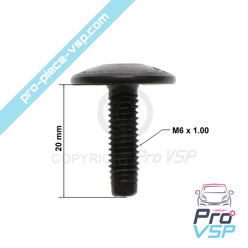 Body screw