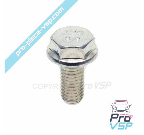 Starter support screw