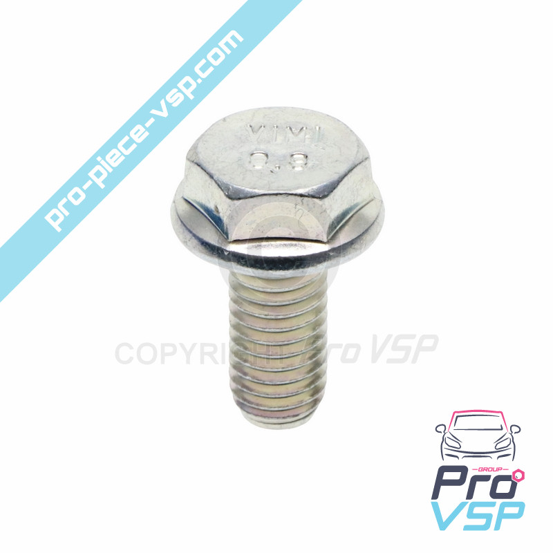 Starter support screw