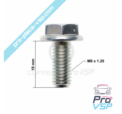 Starter support screw