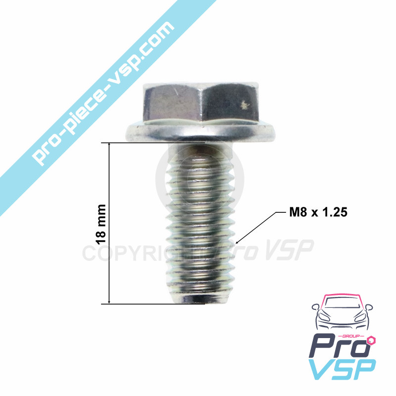 Starter support screw