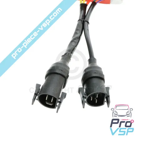 Controller del motore Lombardini LGW523 MPI