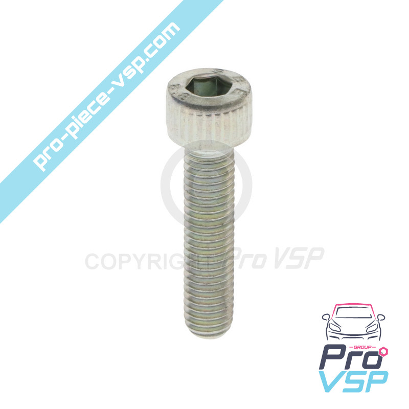 Injector fixation screw