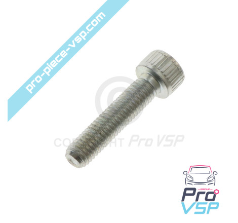 Injector fixation screw