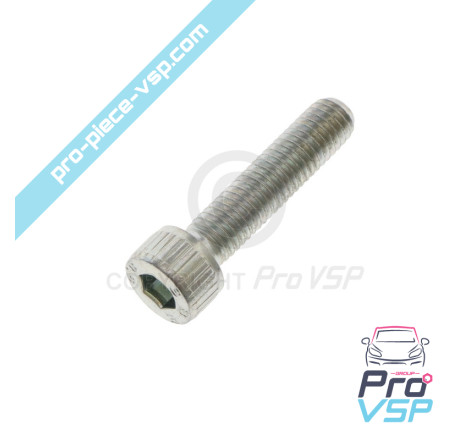 Injector fixation screw