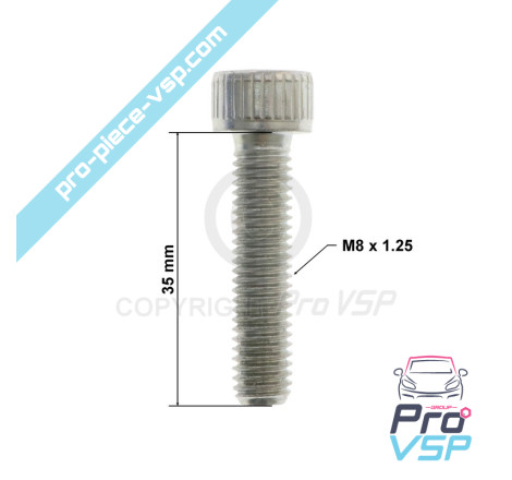 Injector fixation screw