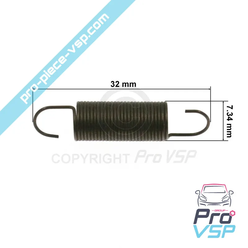 Pump injector reminder spring Lombardini Focs