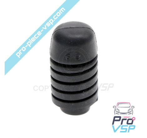 Origem Hood parar para Ligier Microcar Dué