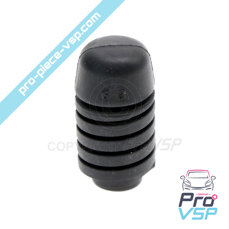 Origem Hood parar para Ligier Microcar Dué