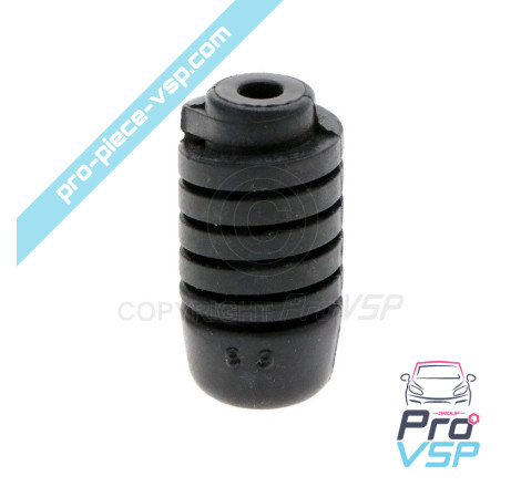 Origem Hood parar para Ligier Microcar Dué