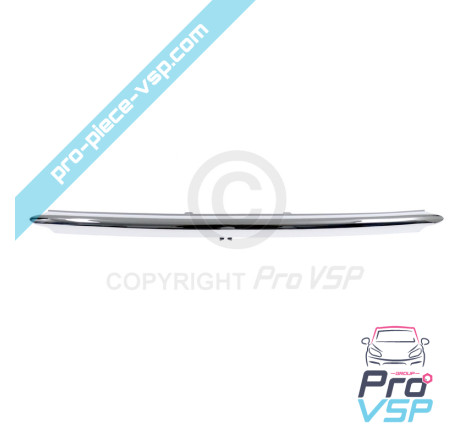 Chrome baguette of front bumper